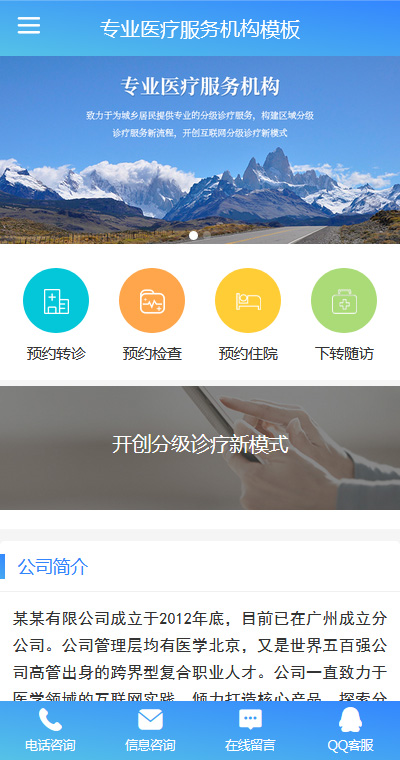 專業(yè)醫(yī)療服務(wù)機構(gòu)微網(wǎng)站模板