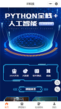 IT科技程序員python前端開發(fā)小程序模板